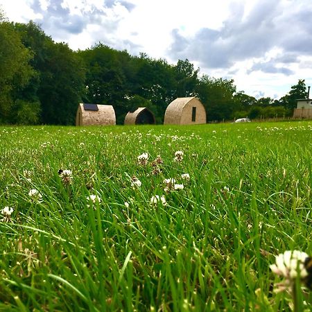 Hotel Alder Pod, Clay Bank Huts Ingleby Greenhow Exterior foto