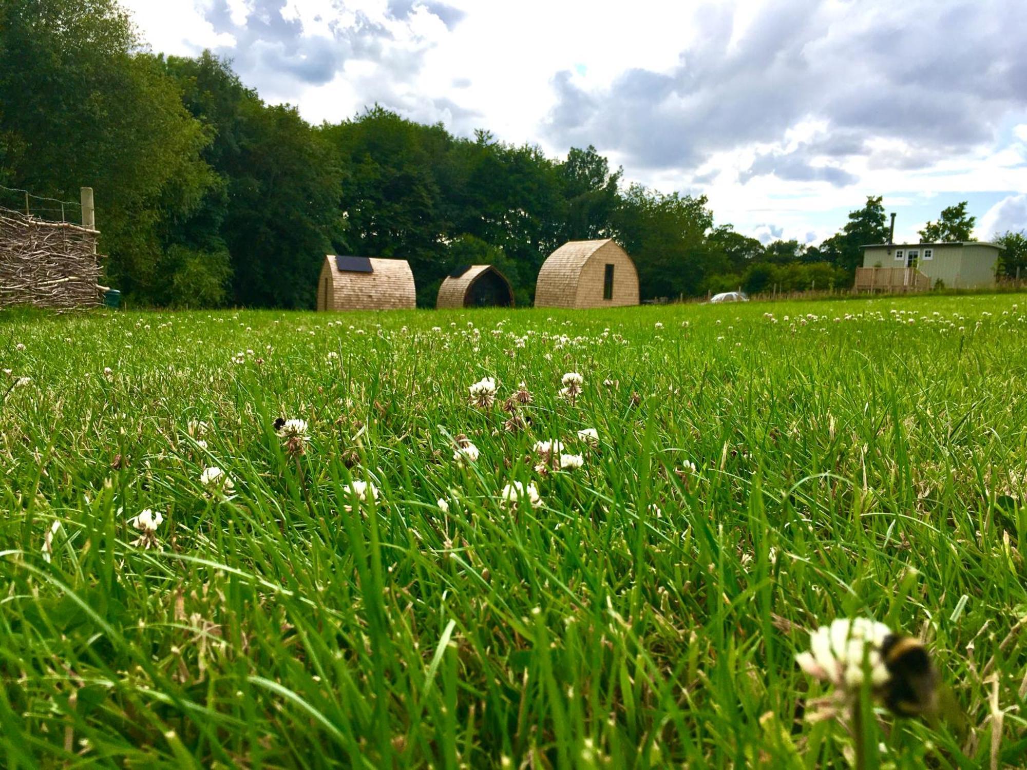 Hotel Alder Pod, Clay Bank Huts Ingleby Greenhow Exterior foto